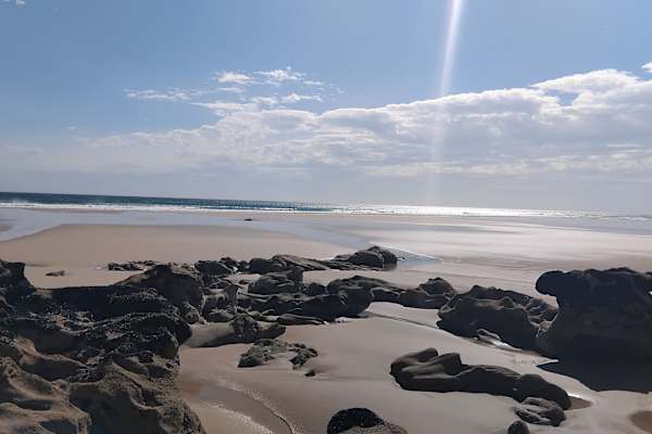 House sit in Tarwin Lower, VIC, Australia