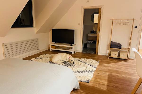 House sit in Balsall Common, United Kingdom