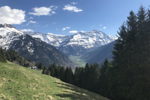 House sit in Elm, Switzerland