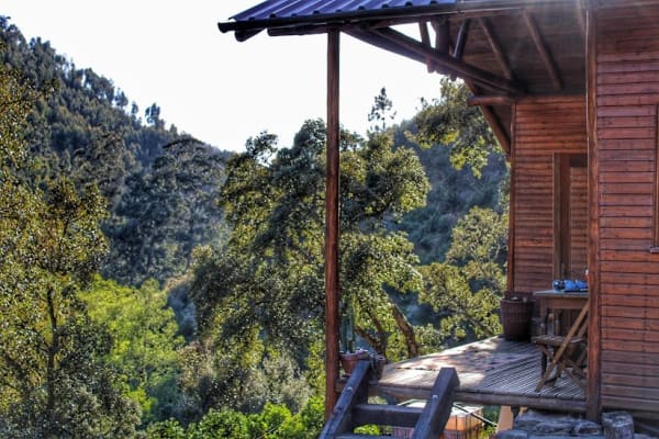 House sit in Marmelete, Portugal