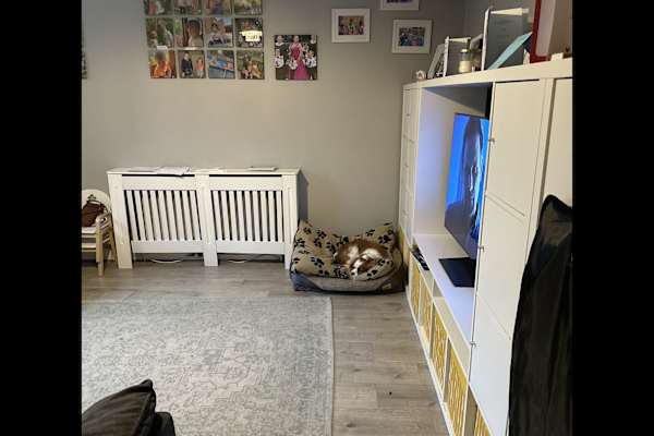 House sit in Chorlton, United Kingdom