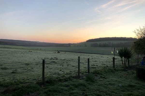 House sit in Chichester, United Kingdom