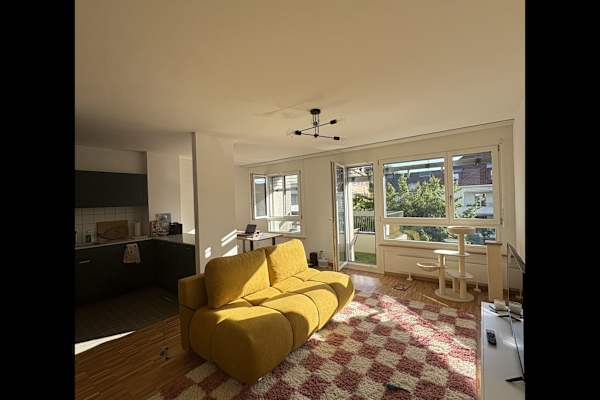 House sit in Basel, Switzerland