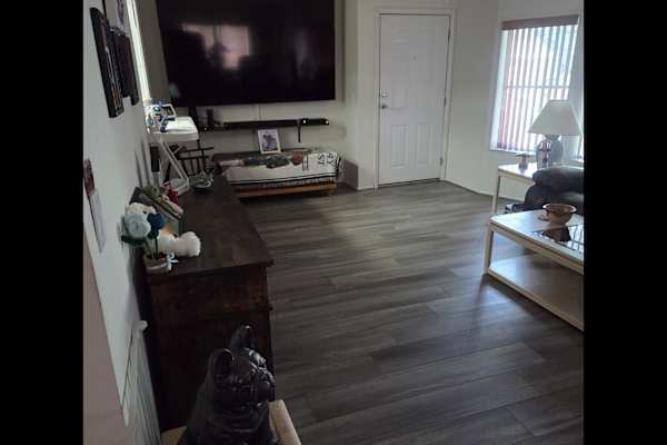 House sit in Largo, FL, US