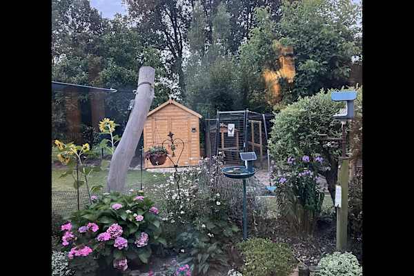 House sit in Kaltenkirchen, Germany