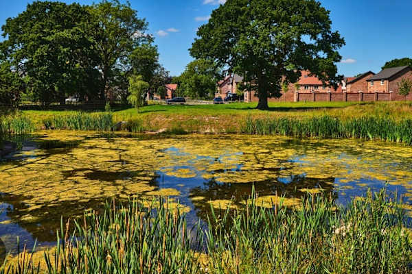 House sit in Wilmslow, United Kingdom