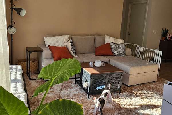 House sit in Culver City, CA, US
