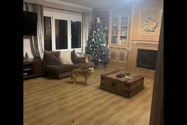 House sit in Javea, Spain