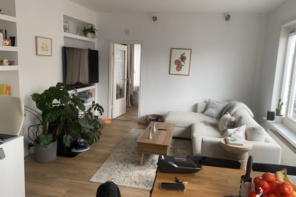 House sit in Amsterdam, Netherlands