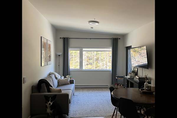 House sit in Whistler, BC, Canada