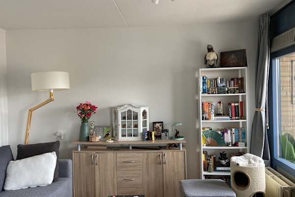 House sit in Arnhem, Netherlands