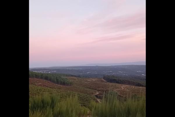 House sit in São Pedro do Sul, Portugal