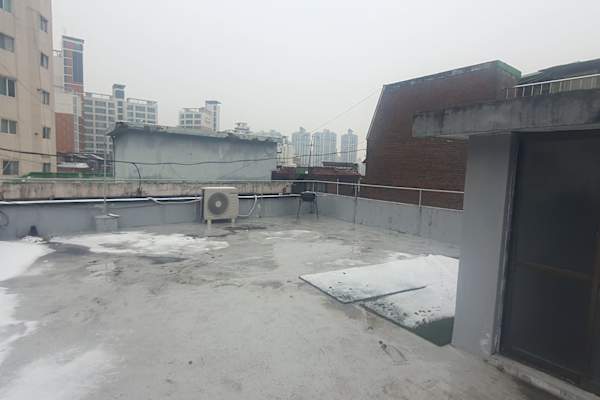 House sit in Seoul, South Korea