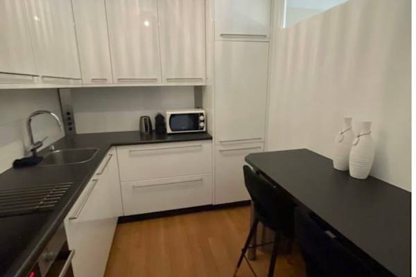 House sit in Nijmegen, Netherlands