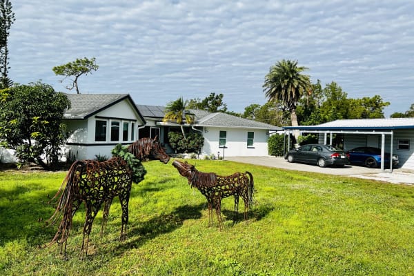 House sit in Sarasota, FL, US