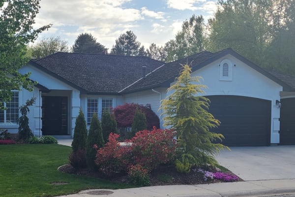 House sit in Boise, ID, US