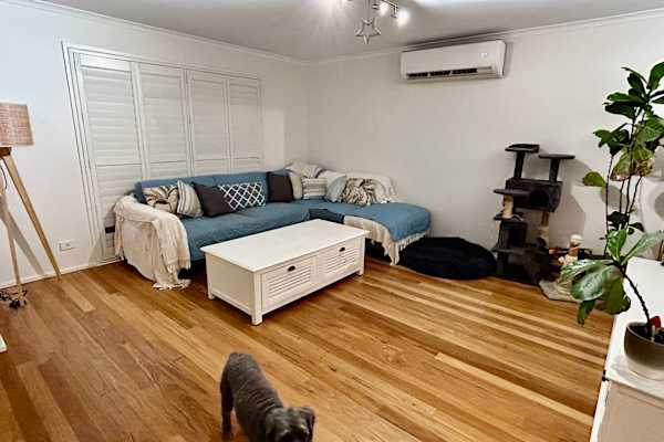 House sit in Sydney, NSW, Australia