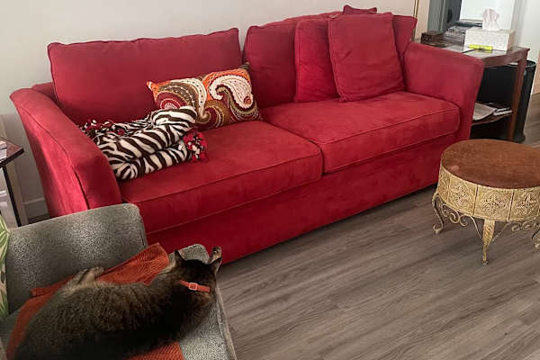 House sit in Winter Park, FL, US