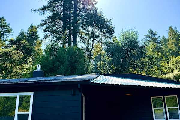 House sit in Guerneville, CA, US