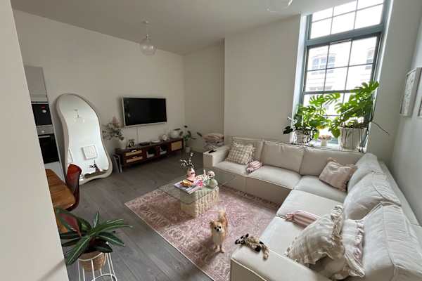 House sit in Birmingham, United Kingdom