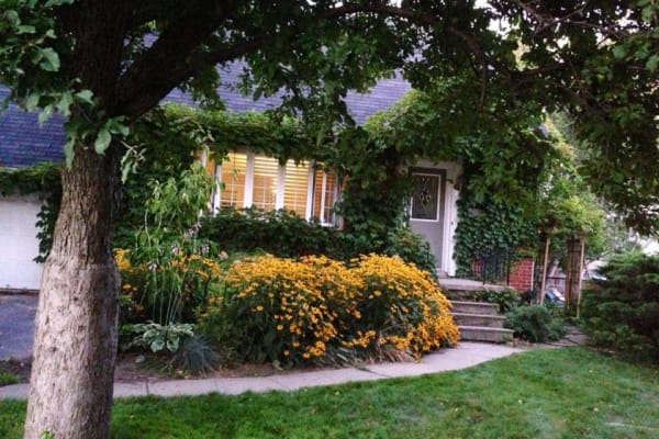 House sit in Mississauga, ON, Canada