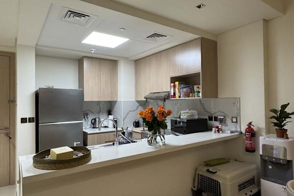 House sit in Ras al-Khaimah, United Arab Emirates