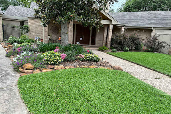 House sit in Houston, TX, US