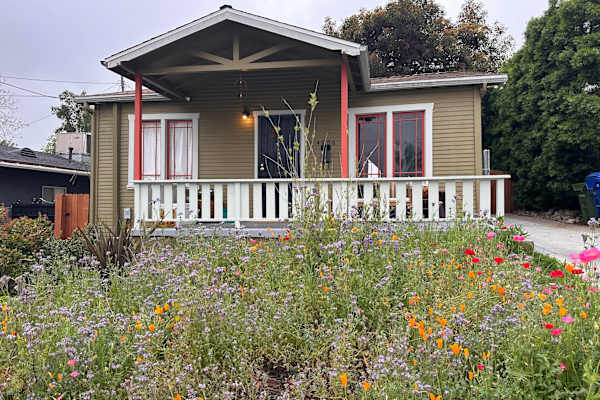 House sit in Los Angeles, CA, US