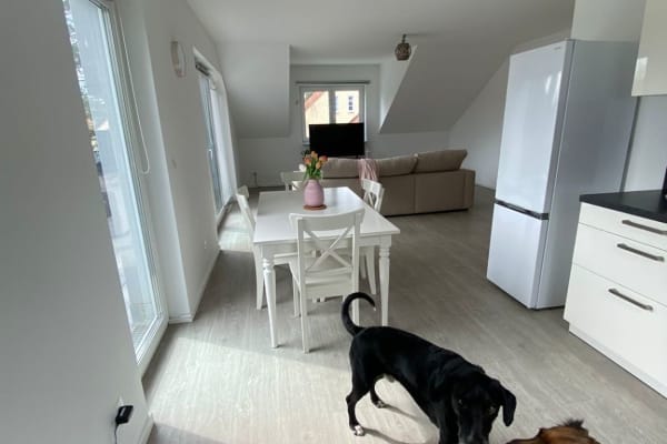 House sit in Berlin, Germany