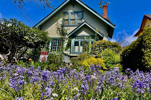 House sit in Victoria, BC, Canada