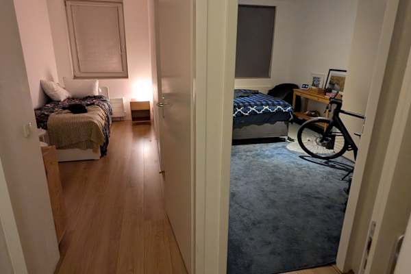 House sit in Amsterdam, Netherlands