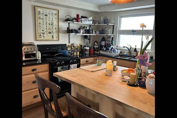 House sit in Middlebury (village), VT, US