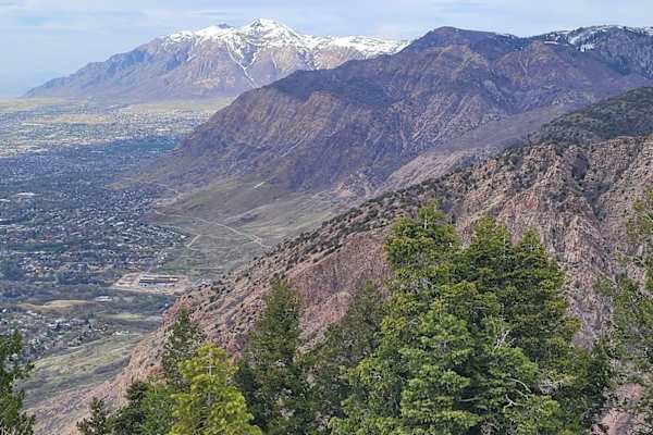 House sit in Ogden, UT, US