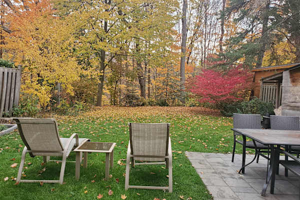 House sit in Toronto, ON, Canada