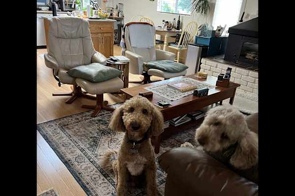 House sit in Pacific Grove, CA, US