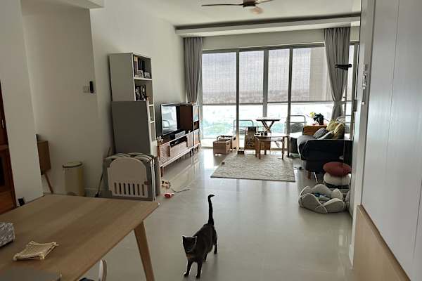 House sit in Marine Parade, Singapore