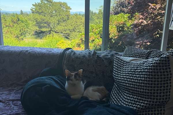 House sit in Portland, OR, US