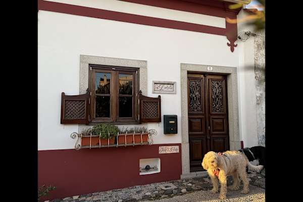 House sit in Vila Nogueira de Azeitão, Portugal