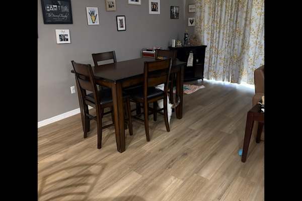 House sit in Fort Myers Beach, FL, US