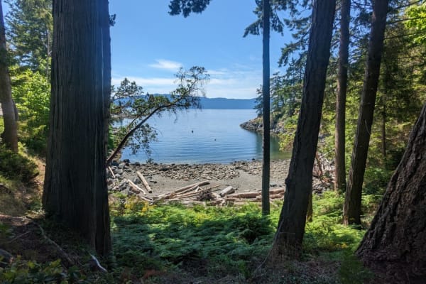 House sit in Madeira Park, BC, Canada