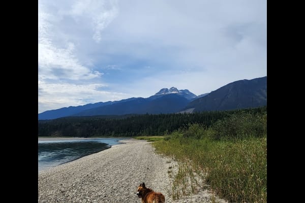 House sit in Revelstoke, BC, Canada