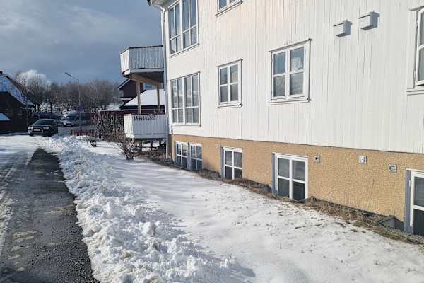 House sit in Bodø, Norway