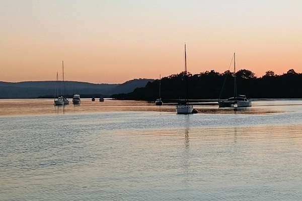 House sit in Brisbane, QLD, Australia