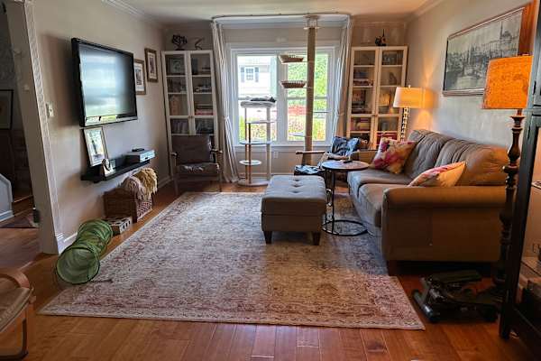 House sit in Somerset, NJ, US