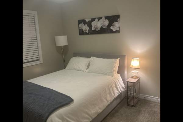 House sit in Collingwood, ON, Canada