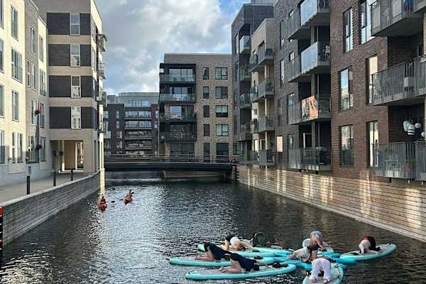 House sit in Copenhagen, Denmark