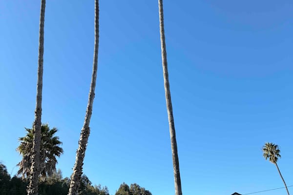 House sit in Goleta, CA, US