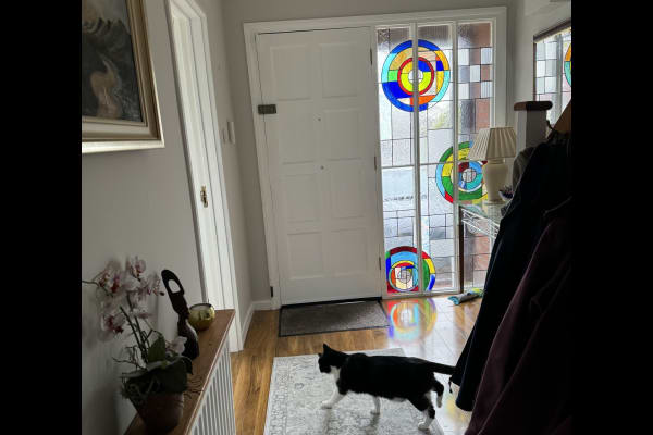 House sit in Tallaght, Ireland