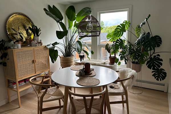 House sit in Calgary, AB, Canada