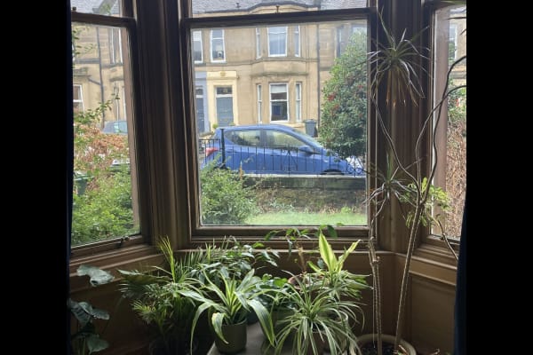 House sit in Edinburgh, United Kingdom